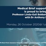 500 x 174 PPS HPI webinar banner 26 OctA