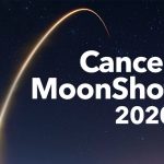Moonshot