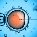 mb-115 fertility Tx
