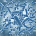 Microbes