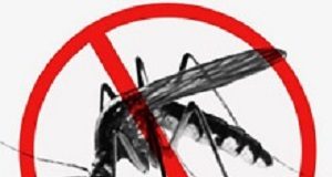 Updated guidelines on treatment of malaria in South Africa