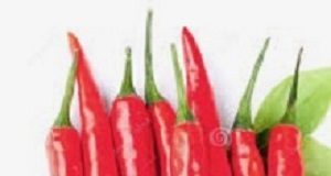 Association between hot red chili pepper consumption and mortality Peppers