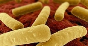 Beating C. Diff: A new treatment and restricting common antibiotic ClostridiumFocus