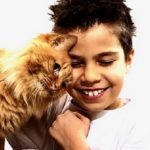 PetsandChildren