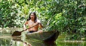 Bolivian Amazon tribe has healthiest hearts in the world AmazonFocus