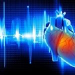 Digital illustration of Human heart