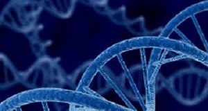 Particular genetic variation in child makes intervention success 4x more likely GeneticsFocus