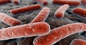 World TB Day – Drug-resistant TB spreading; poor infection control in SA TuberculosisFocus