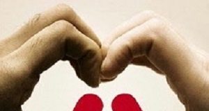 Why I gave my kidney to a stranger — and why you should, too Kidney