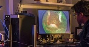 Fibre-optic lung probe diagnoses bacterial infections TechnologyLung