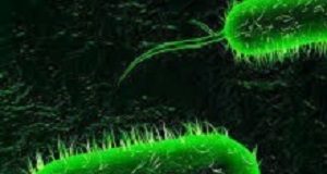 CDC modelling study sounds warning on TB in SA EDCholera