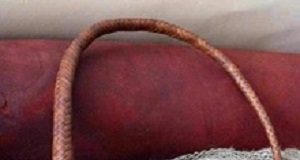 'Community justice' sjambokking and acute kidney injuries – UKZN study RASjambok