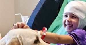 Pet therapy races far ahead of scientific evidence – experts PetTherapy