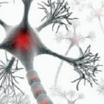 MultipleSclerosis