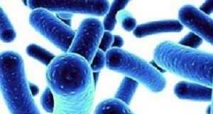 Probiotic mixture reduces sepsis by 40% in infants Probiotics
