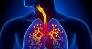 Vitamin D protects against severe asthma attacks AsthmaFocus