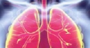 HIV: The benefits of INH prophylaxis for TB are confirmed HIVProphylaxis