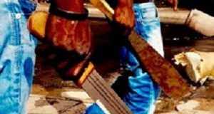 Rural life expectancy differences due to TB and violence RuralViolence