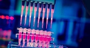 New cancer diagnostic blood test could 'save countless lives' CancerSEEK