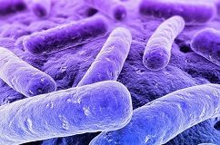 SA's listeriosis outbreak 'the worst in global history' Listeriosis