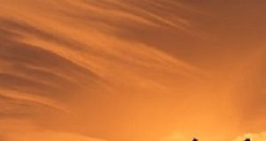 Arm exercises improve walking ability after a stroke Arm