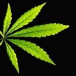 Dagga