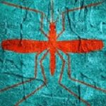 Virus diseases transmitter. Mosquito silhouette. Concrete textured surface