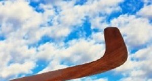 'Boomerang generation' reduces parents' quality of life Boomerang