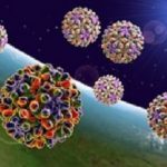 HepatitisB