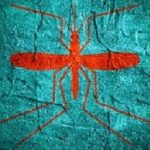 Virus diseases transmitter. Mosquito silhouette. Concrete textured surface