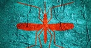 War on malaria – On the brink of a breakthrough? Virus diseases transmitter. Mosquito silhouette. Concrete textured surface