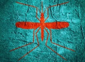 Virus diseases transmitter. Mosquito silhouette. Concrete textured surface