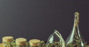 Medical marijuana could increase drug use risk marijuana