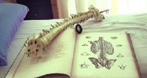 The 'sheen of respectability' that surrounds chiropractic Chiropractic