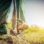 Digging