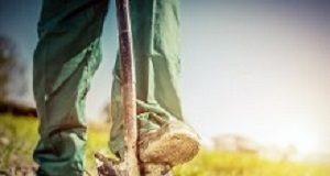 The Physical Activity Paradox: Highly physical work increases early death risk Digging