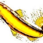 Fishoil