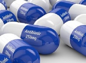 antibiotic