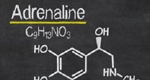 Use of adrenaline doubles risk of brain damage in cardiac arrest patients Blackboard with the chemical formula of Adrenaline