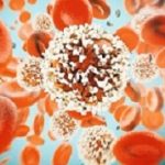 Cancer Cell