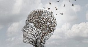 'Skinny fat' is a predictor of cognitive impairment risk Cognition