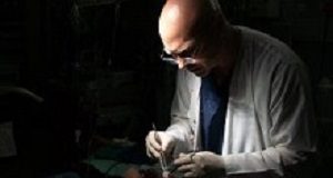 Groote Schuur Trauma Centre: 'Overloaded with violence' GrooteSchuurtrauma