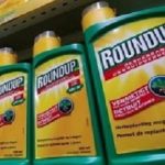 Monsanto