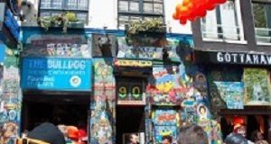 Amsterdam's famous tolerance delivers health benefits Amsterdam