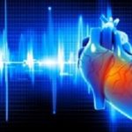 Digital illustration of Human heart