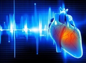 Digital illustration of Human heart