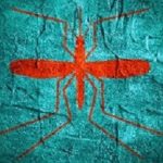 Virus diseases transmitter. Mosquito silhouette. Concrete textured surface