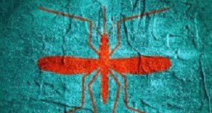 SA national guidelines for the treatment of malaria — 2018 update Virus diseases transmitter. Mosquito silhouette. Concrete textured surface