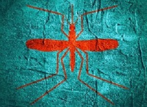 Virus diseases transmitter. Mosquito silhouette. Concrete textured surface