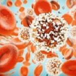Cancer Cell